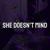 She Doesn't Mind Speed - Dsippy