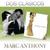 Viviendo - Marc Anthony