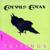 Platerspiel - Corvus Corax