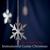 Snowbird - The O'Neill Brothers Group