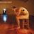 Machines - Biffy Clyro