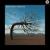 Opposite - Biffy Clyro