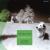Greensleeves - Guitar Duo