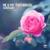 Forgiveness (Original Club Mix) - Me & My Toothbrush