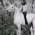 Just For Love - Jonathan Wilson