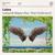 Losing My Religion - Pearl Andersson