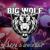 Looking in Your Eyes - Big Wolf Band