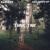 Wings - Sameer
