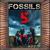 Janla - Fossils