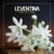 Shake That Thing - Leventina