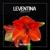 Magenta - Leventina
