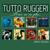 Notte di stelle - Enrico Ruggeri