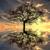 Ballade Pour Adeline - Classical Study Music