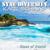 Water of Love - Sync Diversity