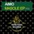 1963 - Aimo