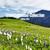 In deine Händ - 3mayr