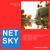 Voodoo Magic - Netsky