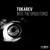 Into the Speed Force - Tokarev