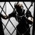 Fuyu No Hanashi (From Given) - Jackie-O