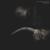 Maryam - The Album Leaf