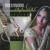 Waada Raha (from "Khakee") - Global Sitar Ensemble