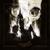 Antichristian Phenomenon - Behemoth