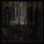 Transylvanian Forest - Behemoth