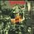 After World Obliteration - Terrorizer