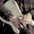 Tell Me Why - Julian Sas