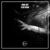 Big Daddy - Jordi Svit