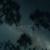 Starry Night (Piano) - Jordan Critz