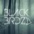Got My Kiss (Original Mix) 1 - Black Birdz