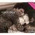 Feeling This - Richard Cheese