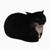 Maxwell the Cat Theme - Catbycat