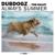 Always Summer - Tom Bailey