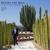 Nicolo Paganini caprice No. 4 in c minor., Op. 1, ECM-01 "Caprice 4 Paganini" - Alfredo Reyes Logounova