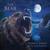 Chapter IV: Omens - Shawn James & the Shapeshifters