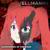 Wandering in the Dark - HELLMANNS