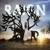 Shine - Raign