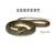 Serpent - Nimbaso