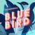 Blue Bird - Pioneerball