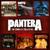 Slaughtered - Pantera