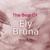 All I Want for Christmas Is You - Ely Bruna