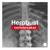 Move Mint (VIP) - HeRobust