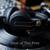 Dance The Night Away (Radio Edit) - The Free
