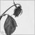 Bad Habits - Madilyn Bailey