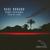 Speed Of Ligth - Raul Robado
