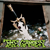 Hit Eject - THE GARDEN