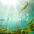 Flower Fields - Weathertunes