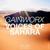 Voices of Sahara - Gainworx